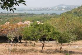 Upper Lake