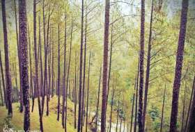 Mukteshwar