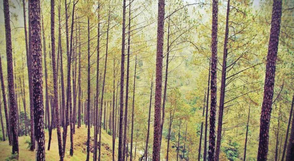 Mukteshwar