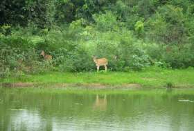 Van Vihar National Park
