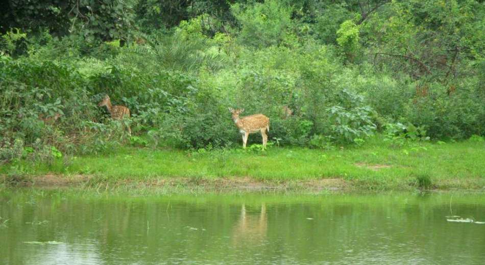 Van Vihar National Park