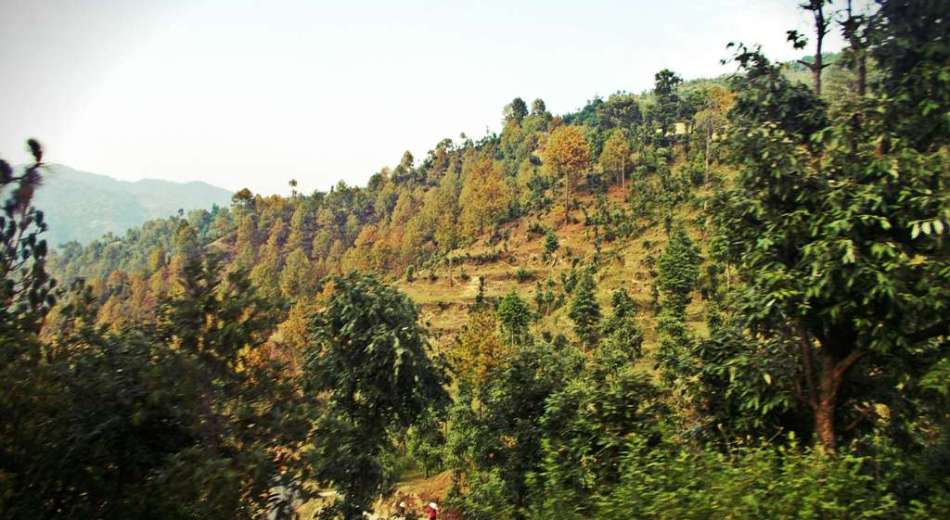Mukteshwar