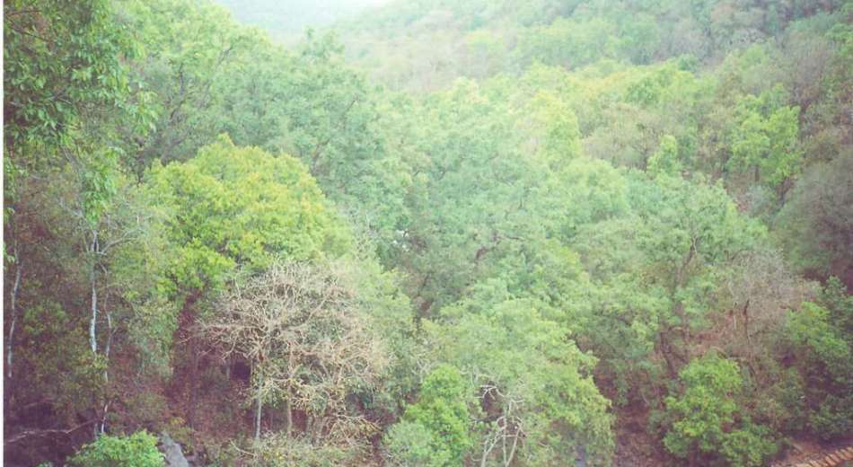 Van Vihar National Park