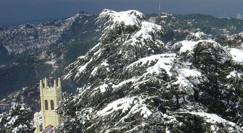 A Staycation in Shimla